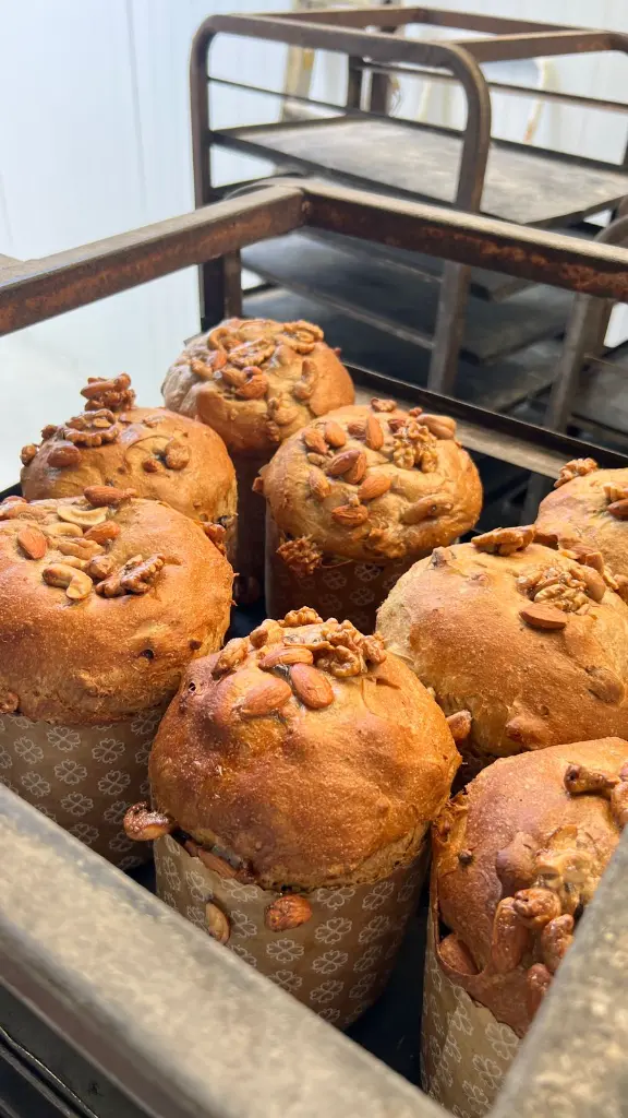 WhatsApp Image 2025-12-17 at 12.50.03 (1).webp